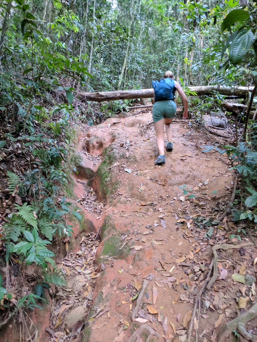 A Well Charted Path | Ilha Grande: Hiking, Beaches, and No Cars